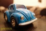 beetle1_t1.jpg